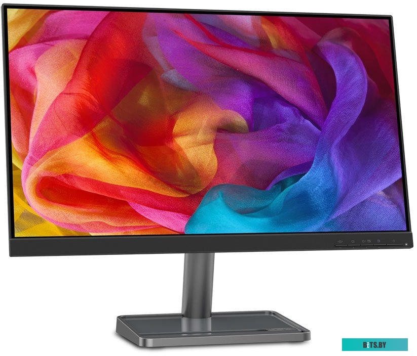 Монитор Lenovo L24i-30 <66BDKAC2EU>