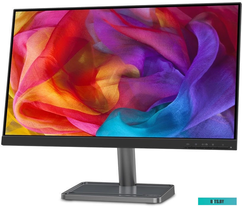 Монитор Lenovo L24i-30 <66BDKAC2EU>