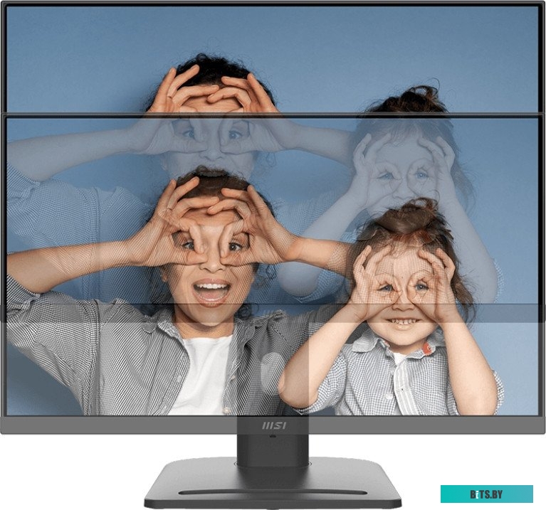 Монитор MSI Pro MP253P 9S6-3PC79H-055