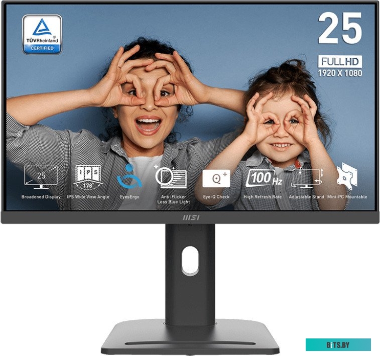 Монитор MSI Pro MP253P 9S6-3PC79H-055