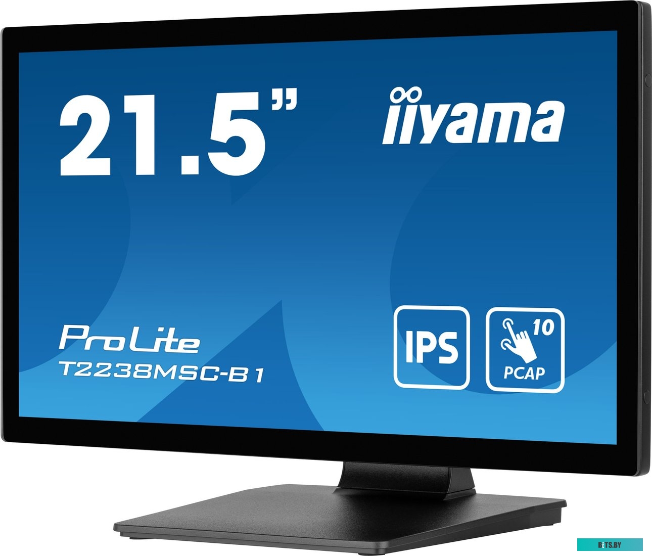 Монитор Iiyama 21.5" ProLite T2238MSC-B1 черный T2238MSC-B1