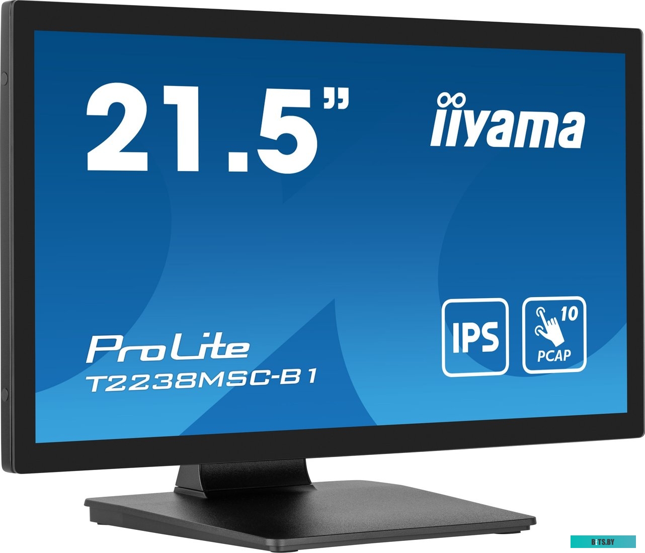 Монитор Iiyama 21.5" ProLite T2238MSC-B1 черный T2238MSC-B1