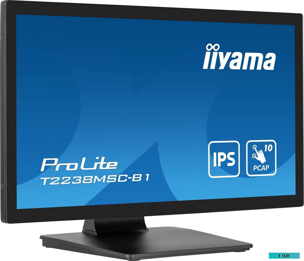 Монитор Iiyama 21.5" ProLite T2238MSC-B1 черный T2238MSC-B1