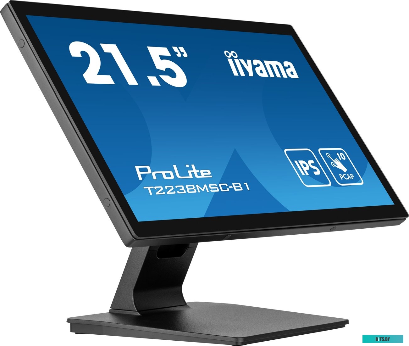 Монитор Iiyama 21.5" ProLite T2238MSC-B1 черный T2238MSC-B1