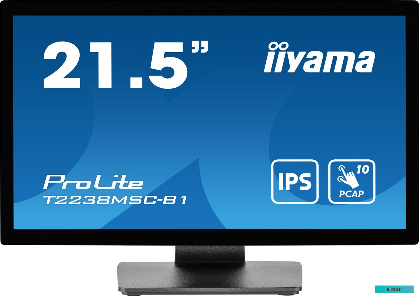 Монитор Iiyama 21.5" ProLite T2238MSC-B1 черный T2238MSC-B1