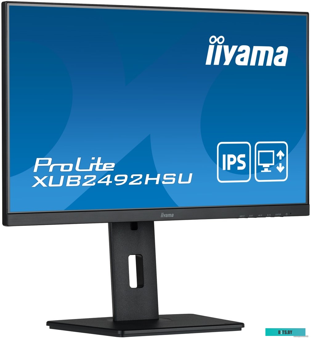 Монитор Iiyama ProLite XUB2492HSU-B5