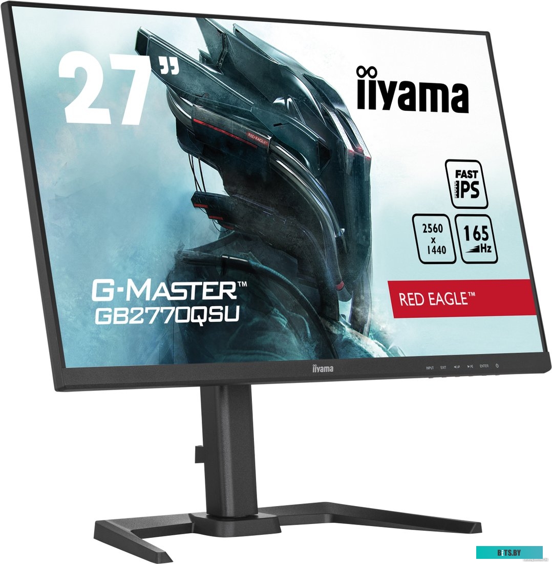 Монитор Iiyama G-Master GB2770QSU-B5