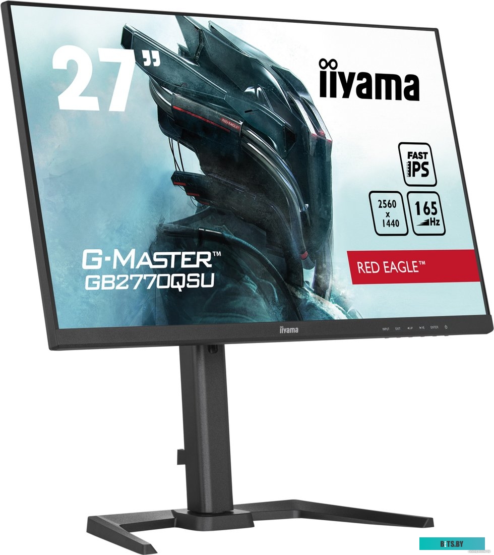 Монитор Iiyama G-Master GB2770QSU-B5