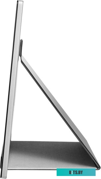 Монитор AOC I1601P