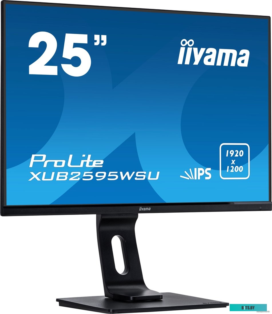 Монитор Iiyama ProLite XUB2595WSU-B1