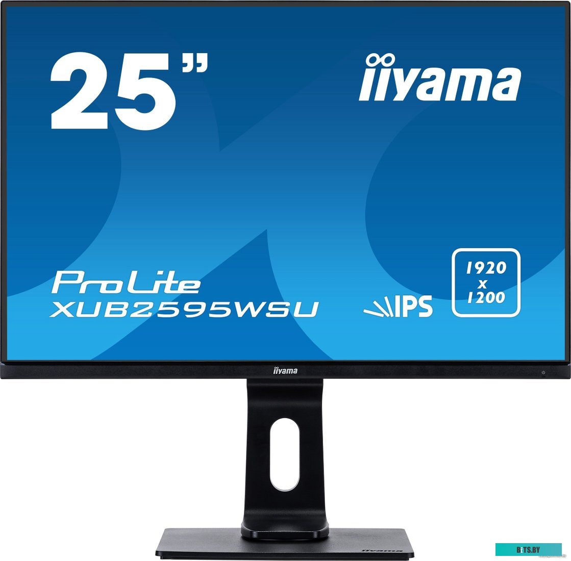Монитор Iiyama ProLite XUB2595WSU-B1