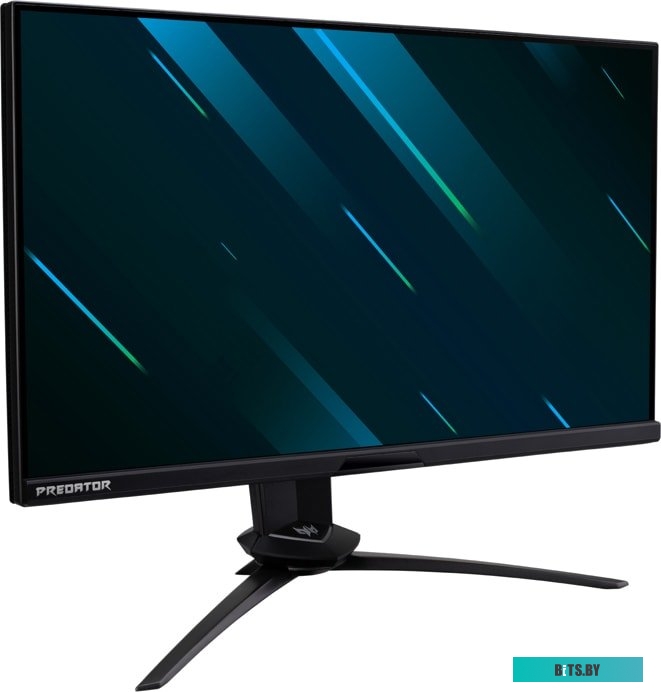 Монитор Acer Predator X25 <UM.KX0EE.006>