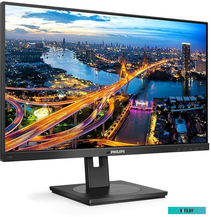 Монитор Philips 243B1/00