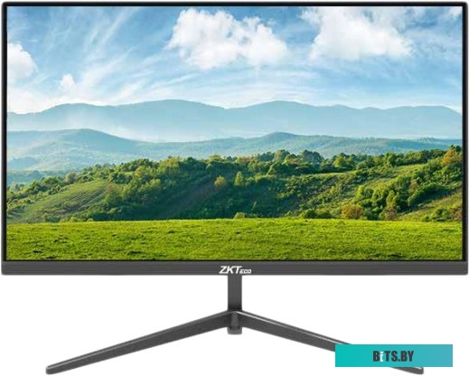 Монитор ZKTeco ZD24-2K-A ZD24-2K-A