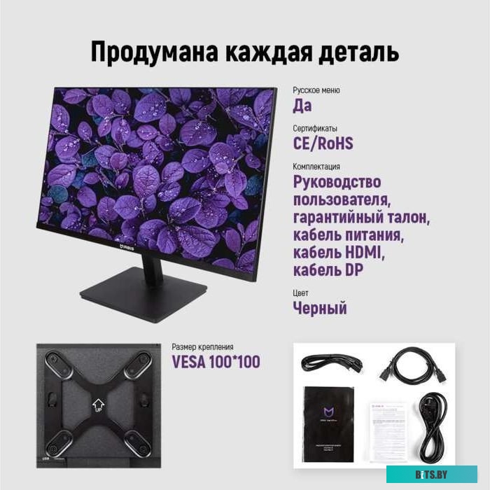 Монитор Irbis ISM24FIDVesa