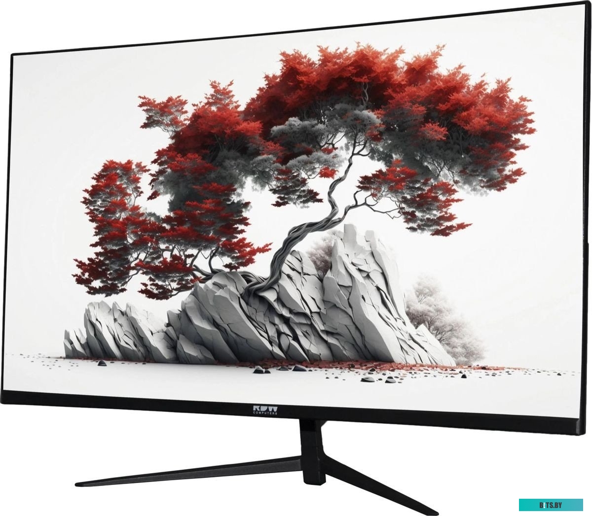 RDW2401K/HDMI Монитор RDW Computers 23.8" RDW2401K/HDMI черный IPS 5ms 16:9 HDMI M/M матовая 1000:1 300cd 178гр/178гр 1920x1080 75Hz VGA DP (RUS)