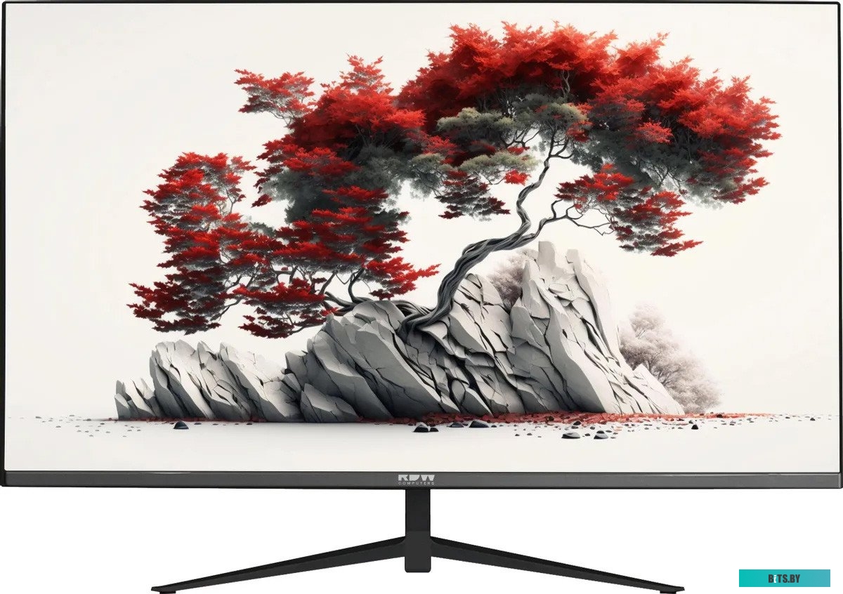 RDW2401K/HDMI Монитор RDW Computers 23.8" RDW2401K/HDMI черный IPS 5ms 16:9 HDMI M/M матовая 1000:1 300cd 178гр/178гр 1920x1080 75Hz VGA DP (RUS)