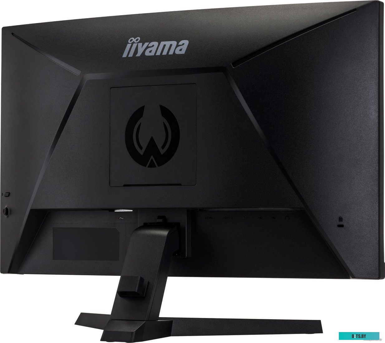 Монитор Iiyama G-Master G2466HSU-B1