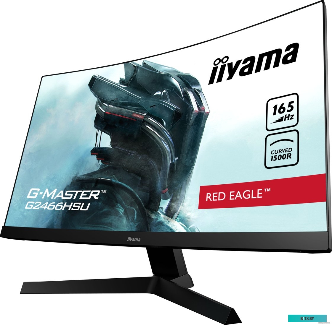 Монитор Iiyama G-Master G2466HSU-B1