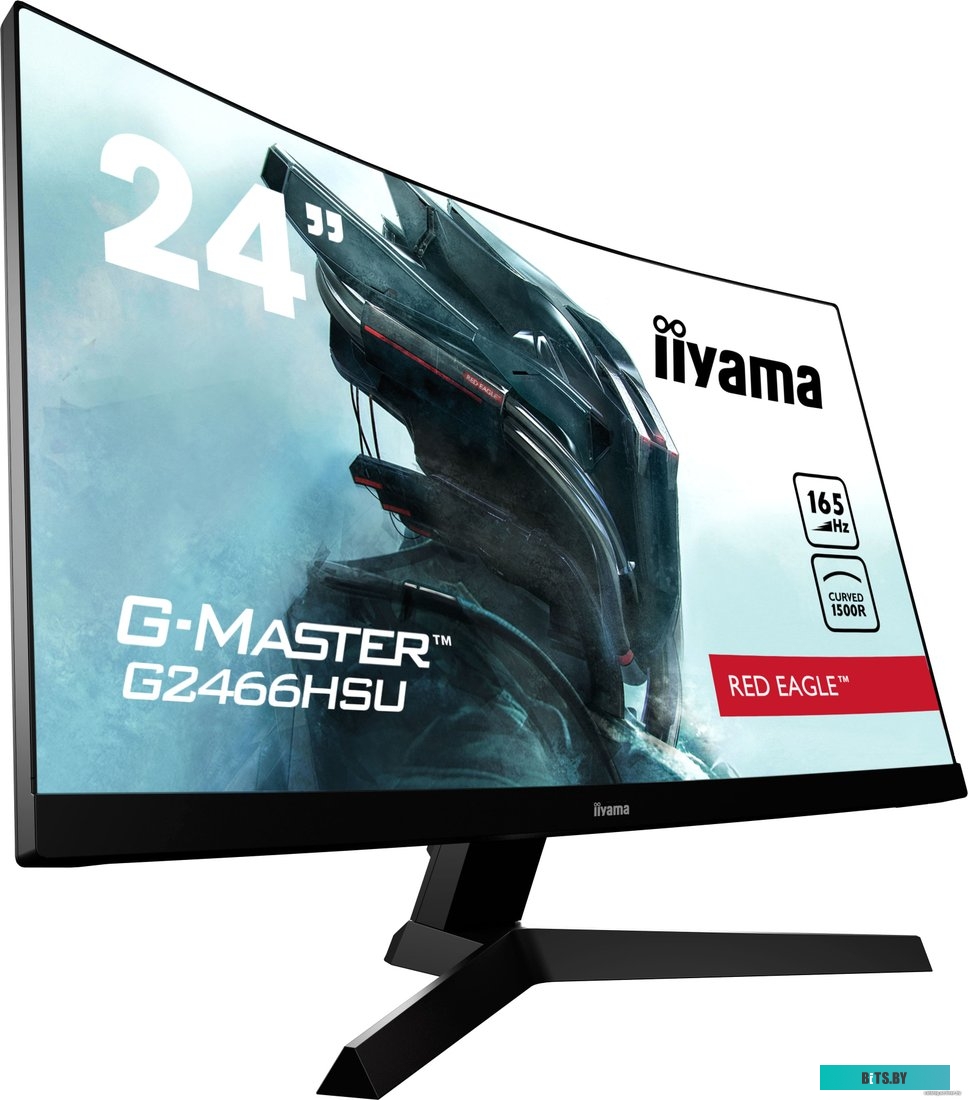 Монитор Iiyama G-Master G2466HSU-B1