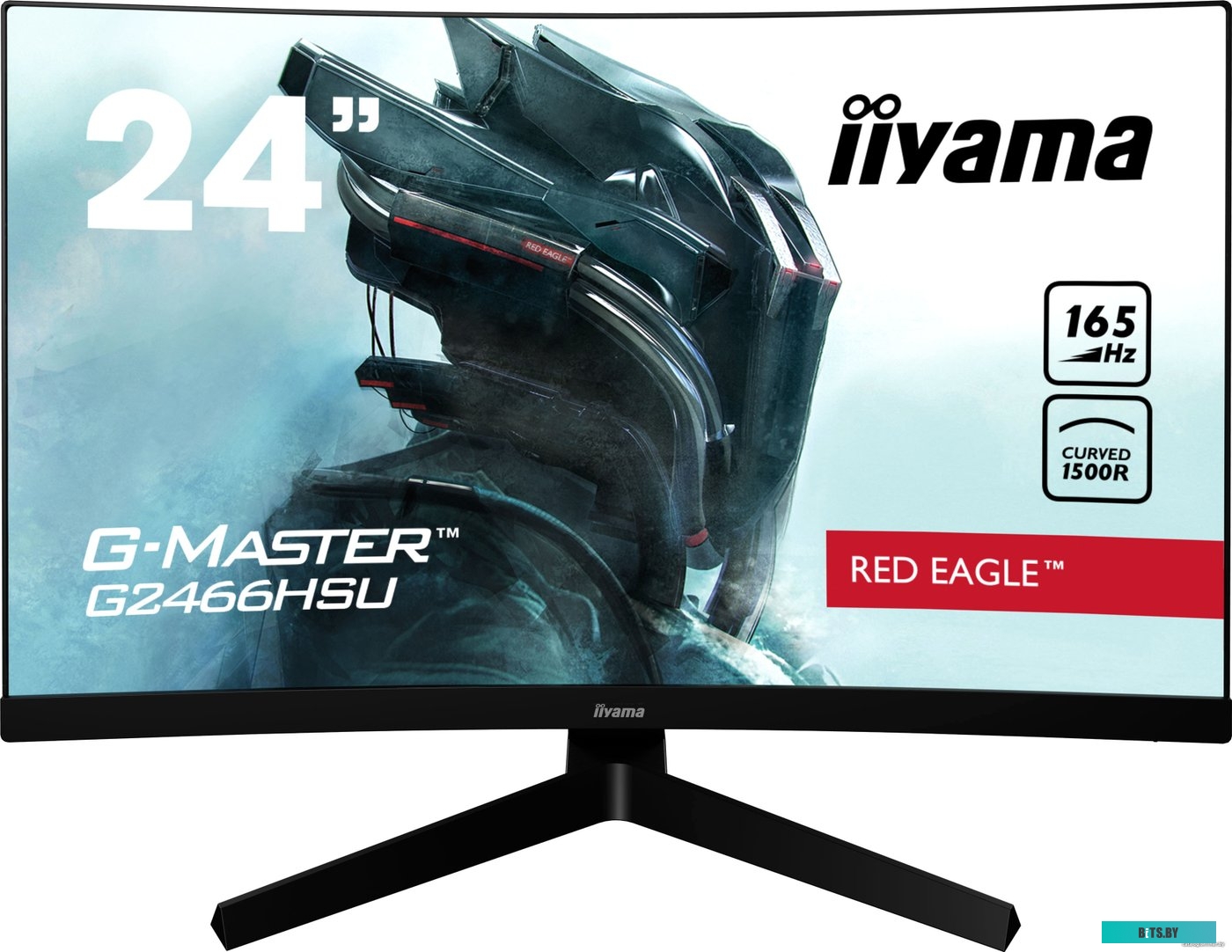 Монитор Iiyama G-Master G2466HSU-B1