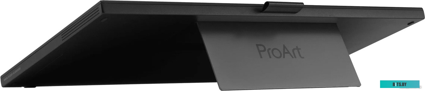 Монитор ASUS ProArt PA169CDV 90LM0711-B01I70