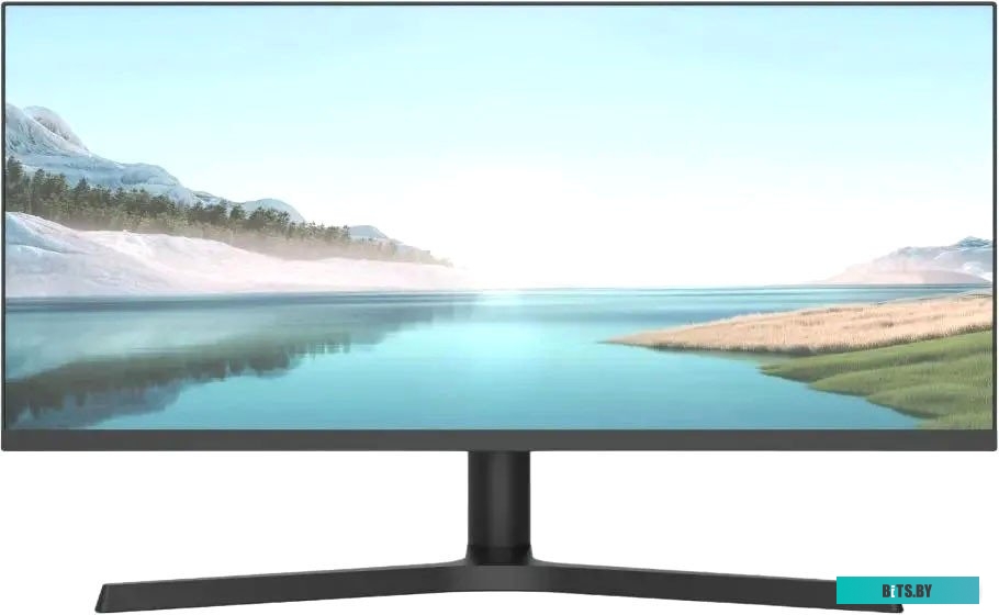 Монитор NPC MB300L-Y 29", черный