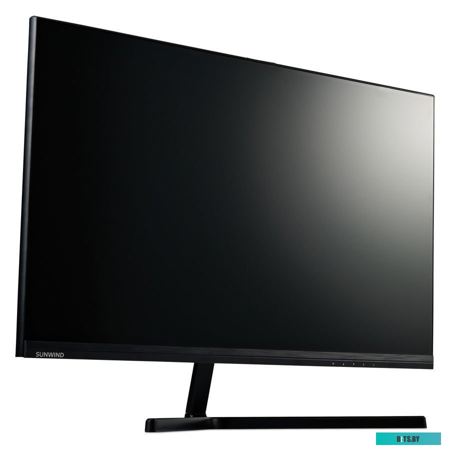 Монитор SunWind SUN-M24BG110