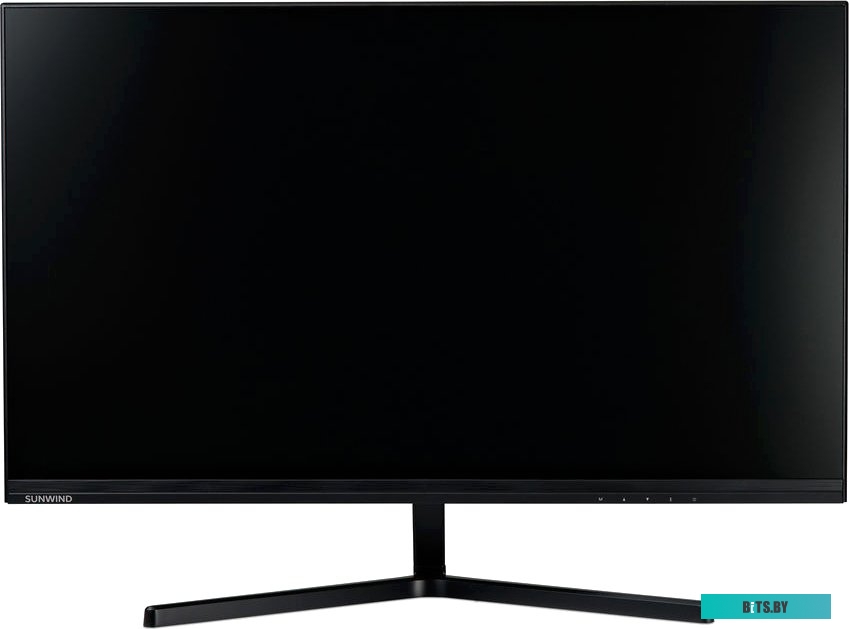 Монитор SunWind SUN-M24BG110