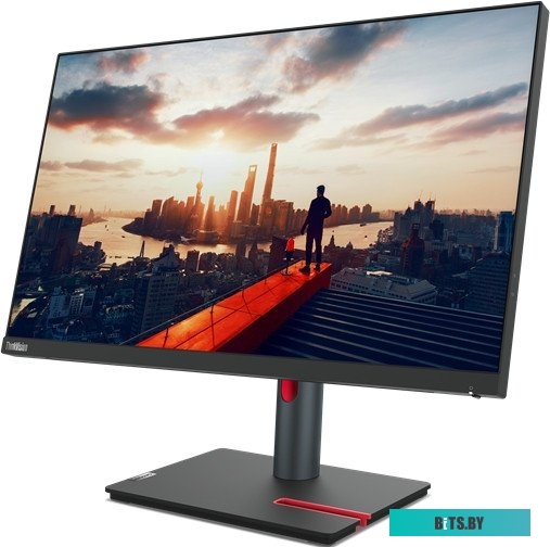 Монитор Lenovo ThinkVision P24h-30 63B3GAT6EU