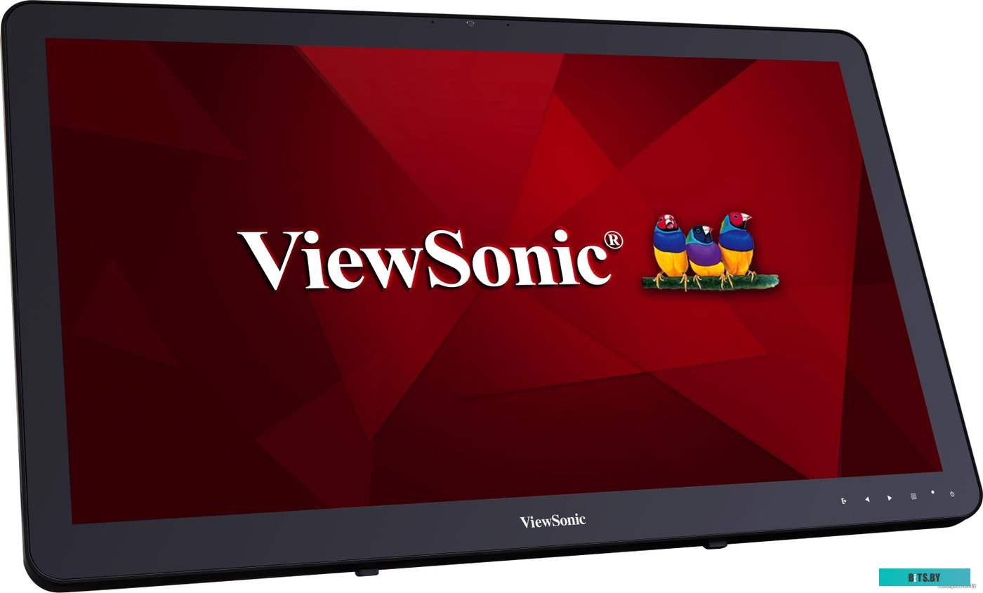 Монитор ViewSonic TD2430