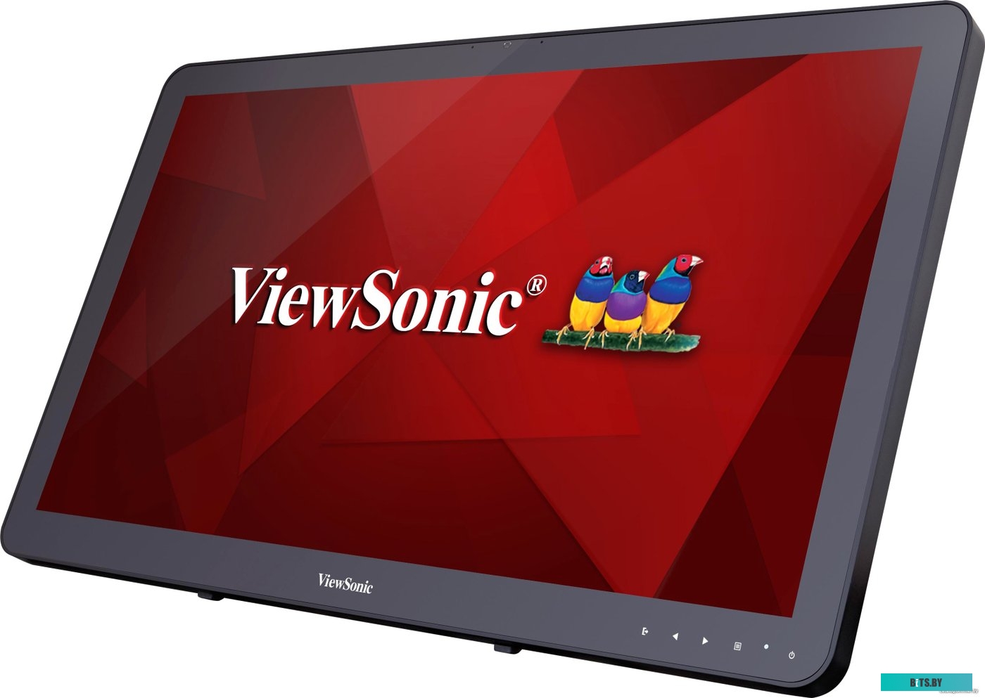 Монитор ViewSonic TD2430