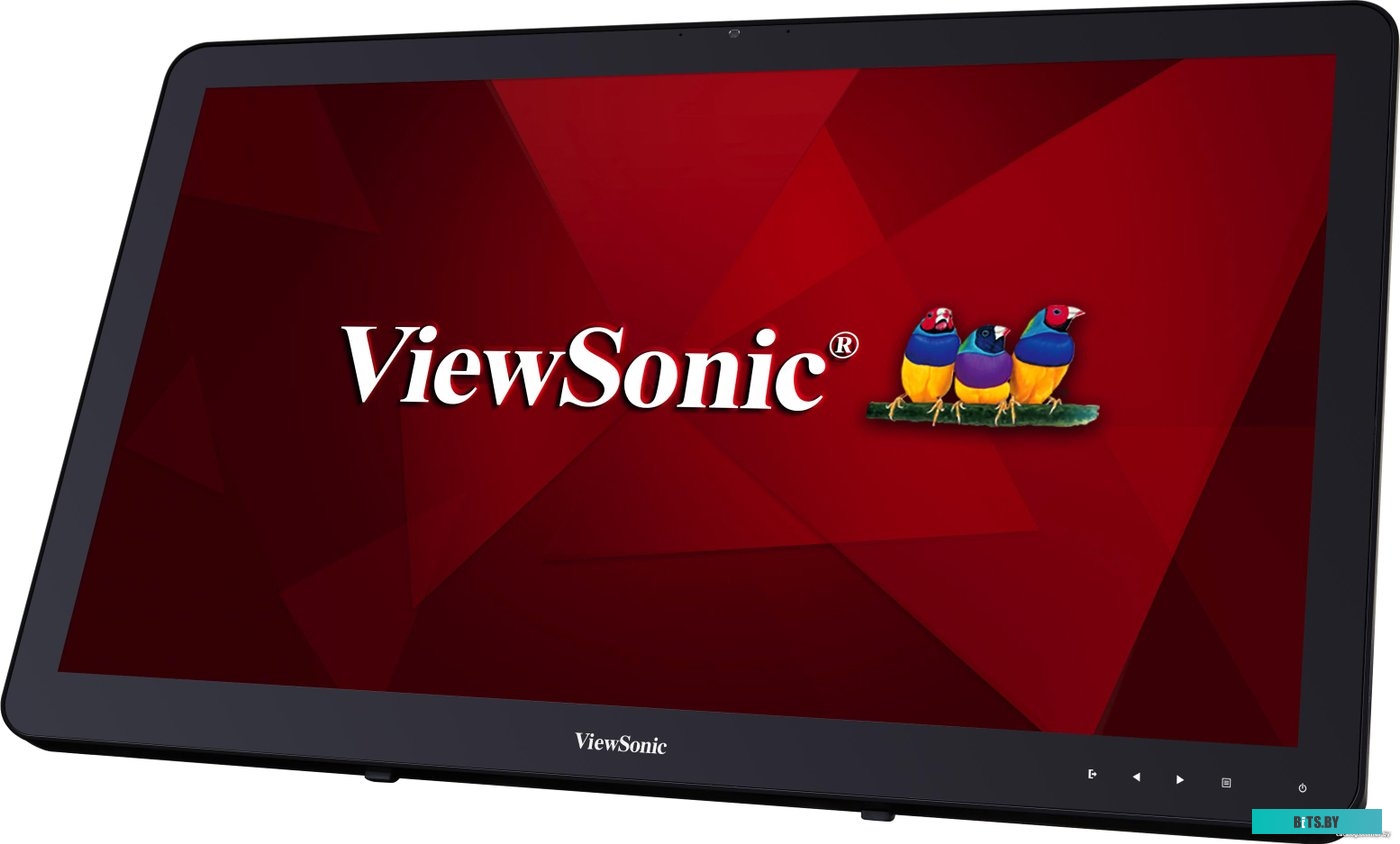 Монитор ViewSonic TD2430