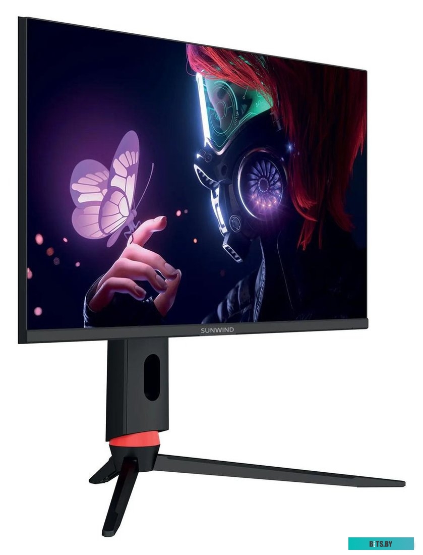 Монитор SunWind SUN-M24BG120 23.8", черный
