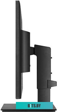 Монитор LG 24BK550Y-I
