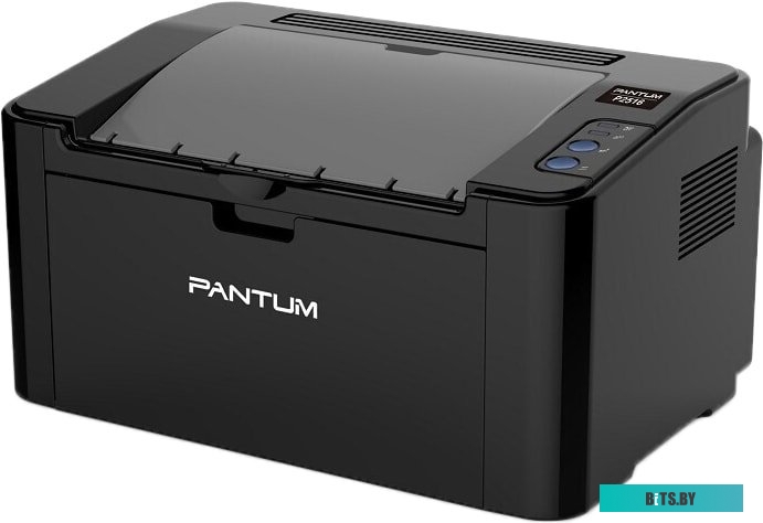 Принтер Pantum P2516