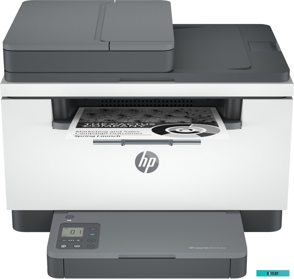 МФУ HP LaserJet M234sdw 6GX01F