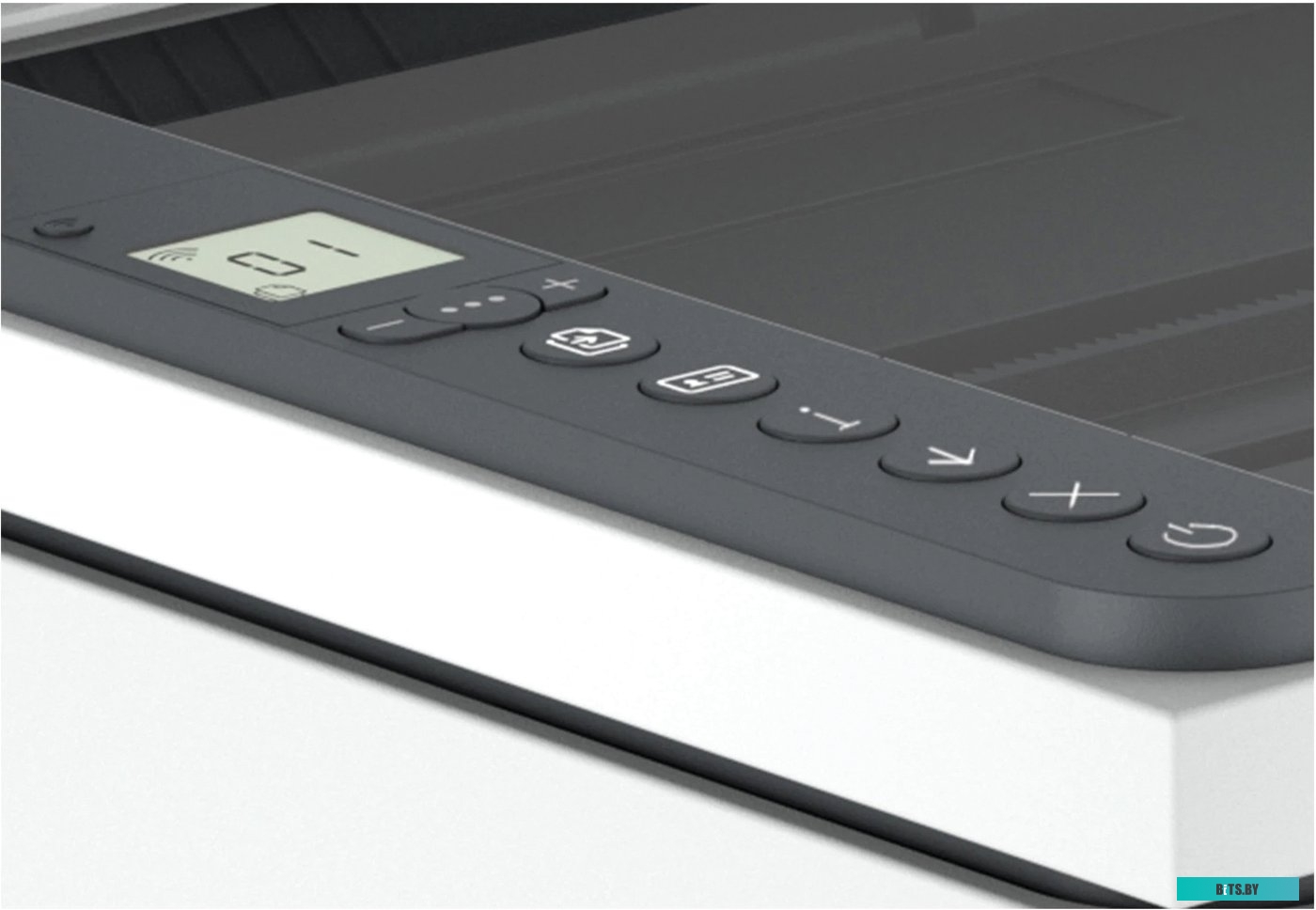 МФУ HP LaserJet M234dw 6GW99F