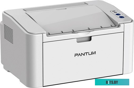 Принтер Pantum P2200