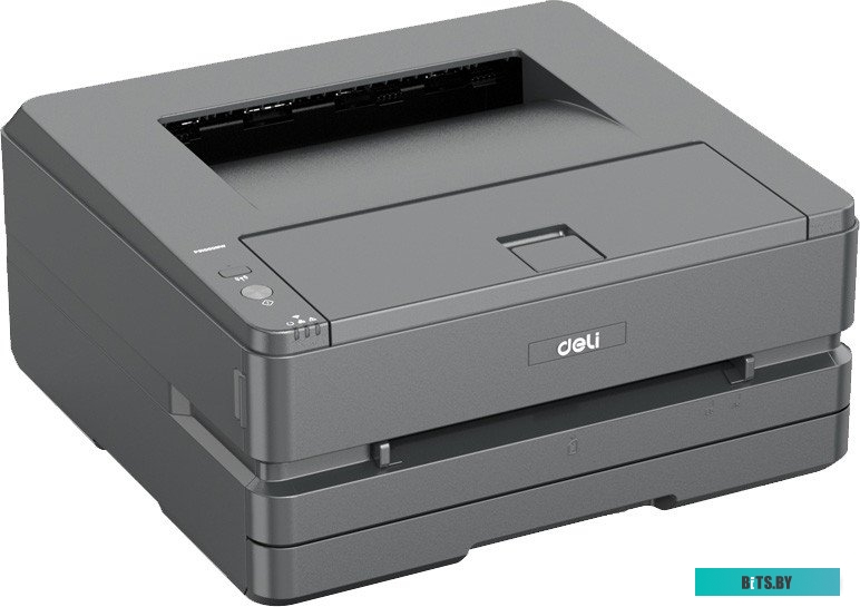 Принтер Deli P3100DNW