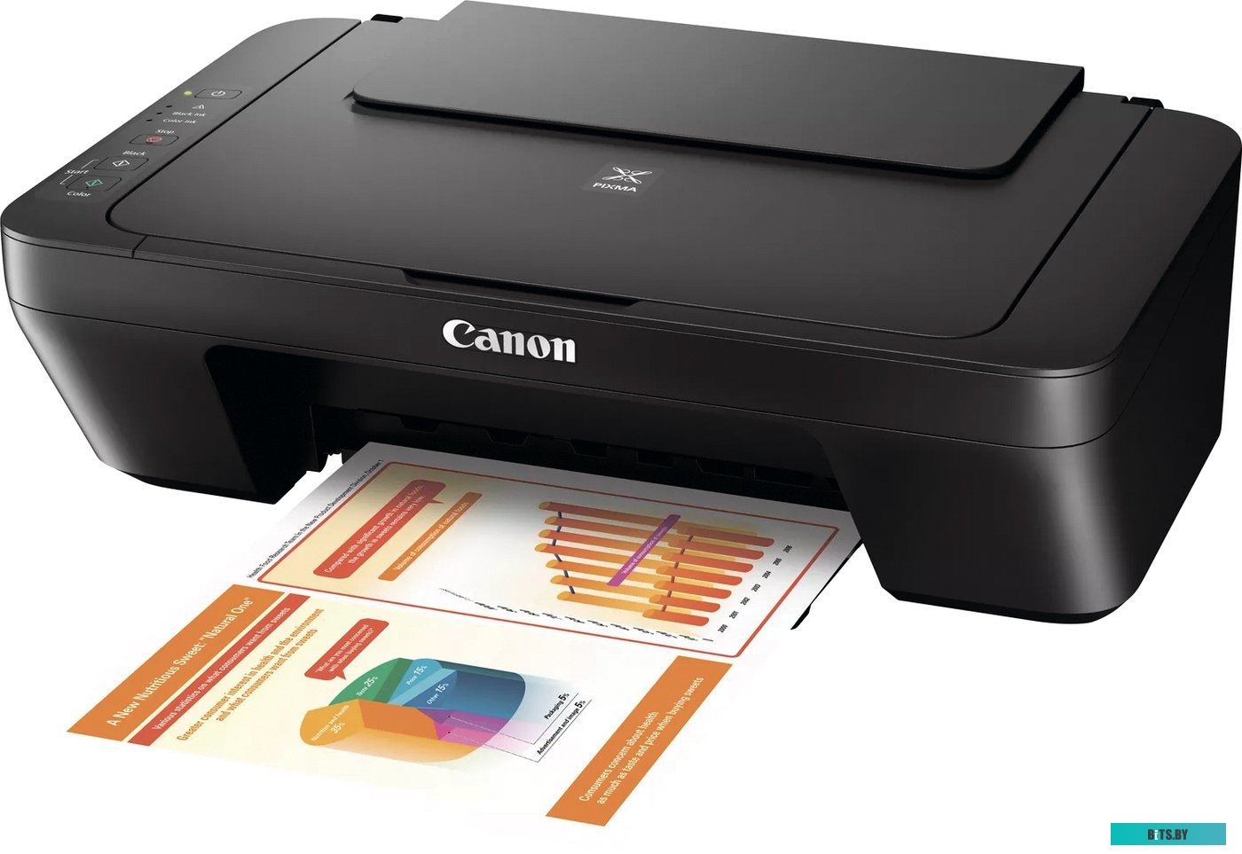 МФУ Canon PIXMA MG2555S 0727C026