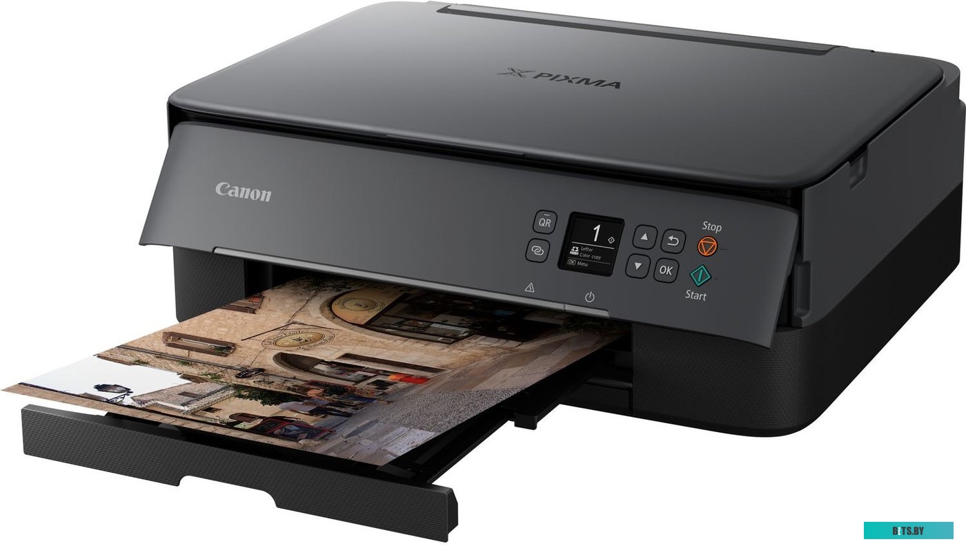 Фотопринтер Canon PIXMA TS5340 <3773C007>