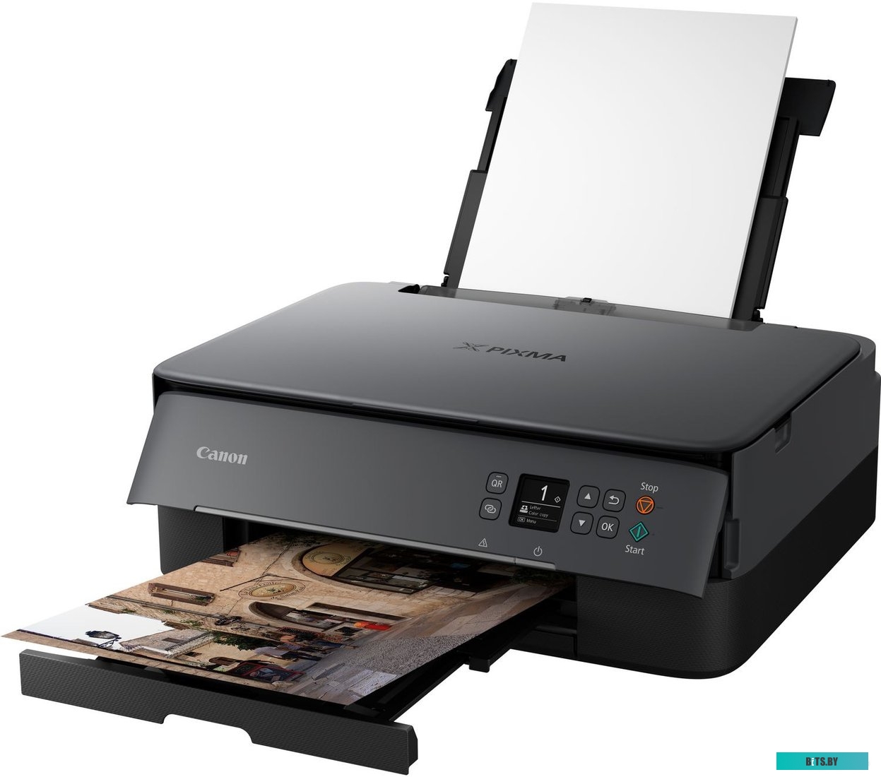 Фотопринтер Canon PIXMA TS5340 <3773C007>