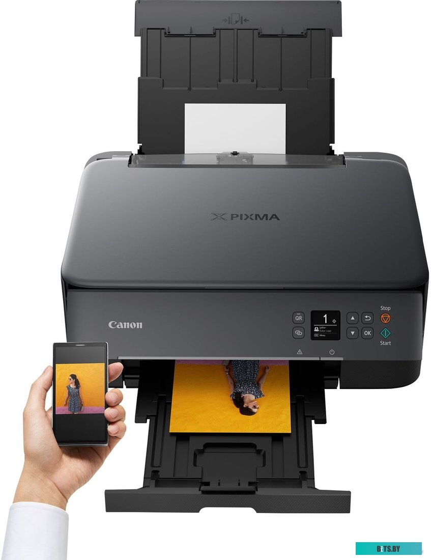 Фотопринтер Canon PIXMA TS5340 <3773C007>