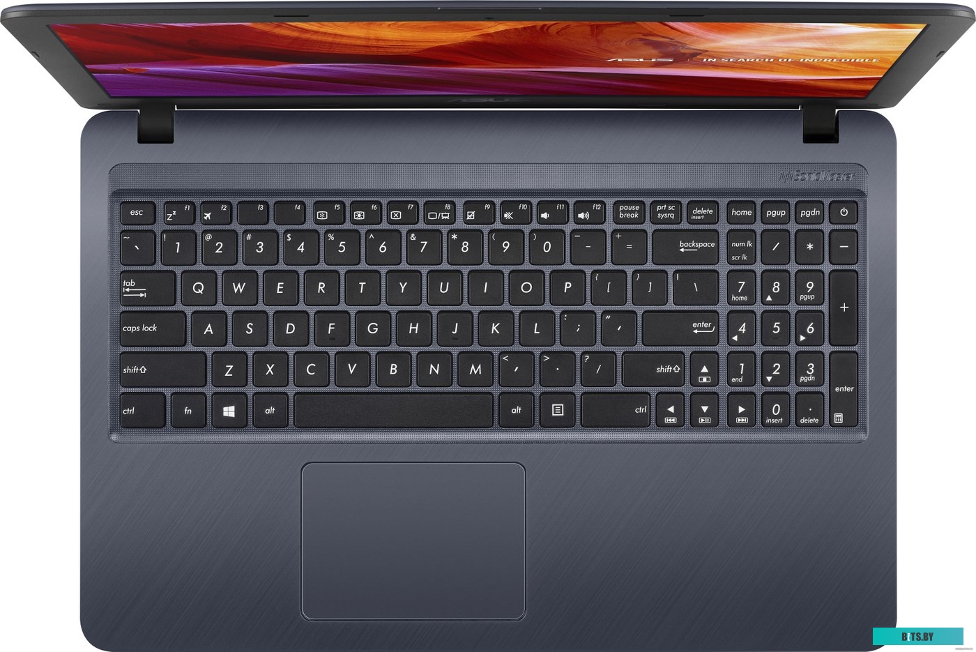 Принтер этикеток Bixolon XT5-43B XT5-43B