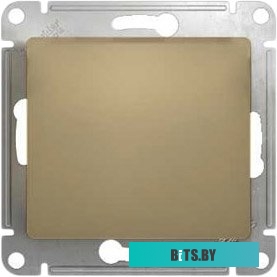 Розетка Schneider Electric Glossa GSL000411 (титан)
