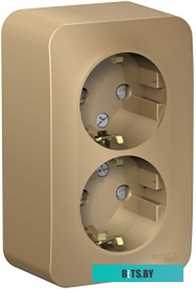 Розетка Schneider Electric Blanca BLNRA010214