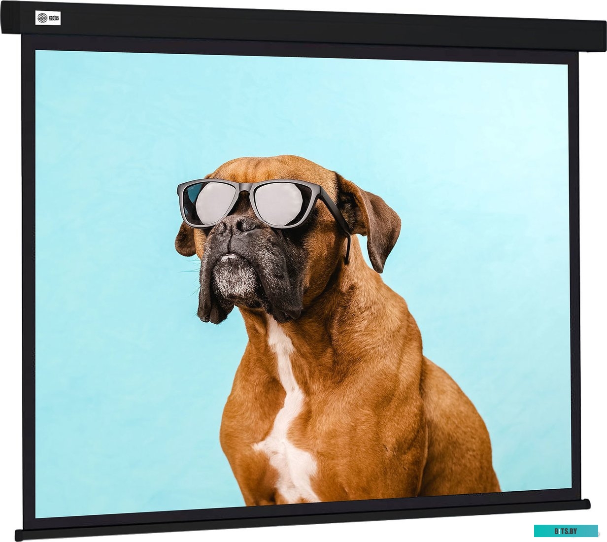 Экран для проекторов Cactus Wallscreen 183x244 CS-PSW-183X244-BK