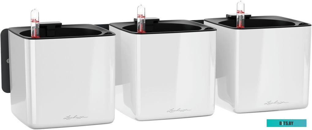 Настольная лампа Camelion KD-823 <13523>