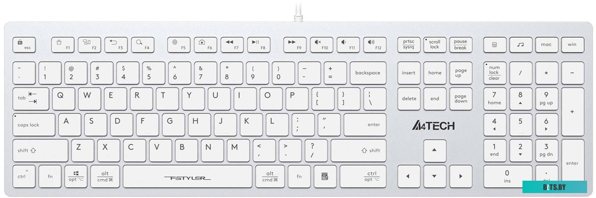 Клавиатура A4Tech Fstyler FX50 (белый)